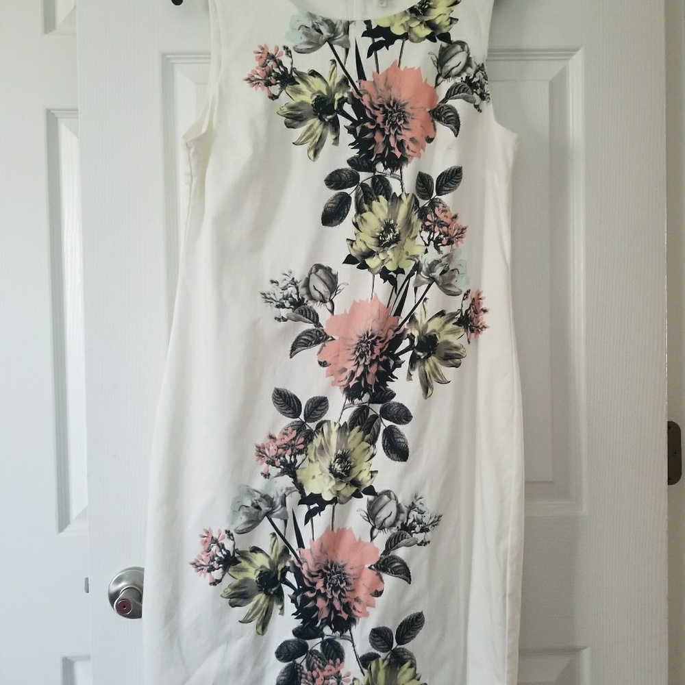 Capture sleeveless dress